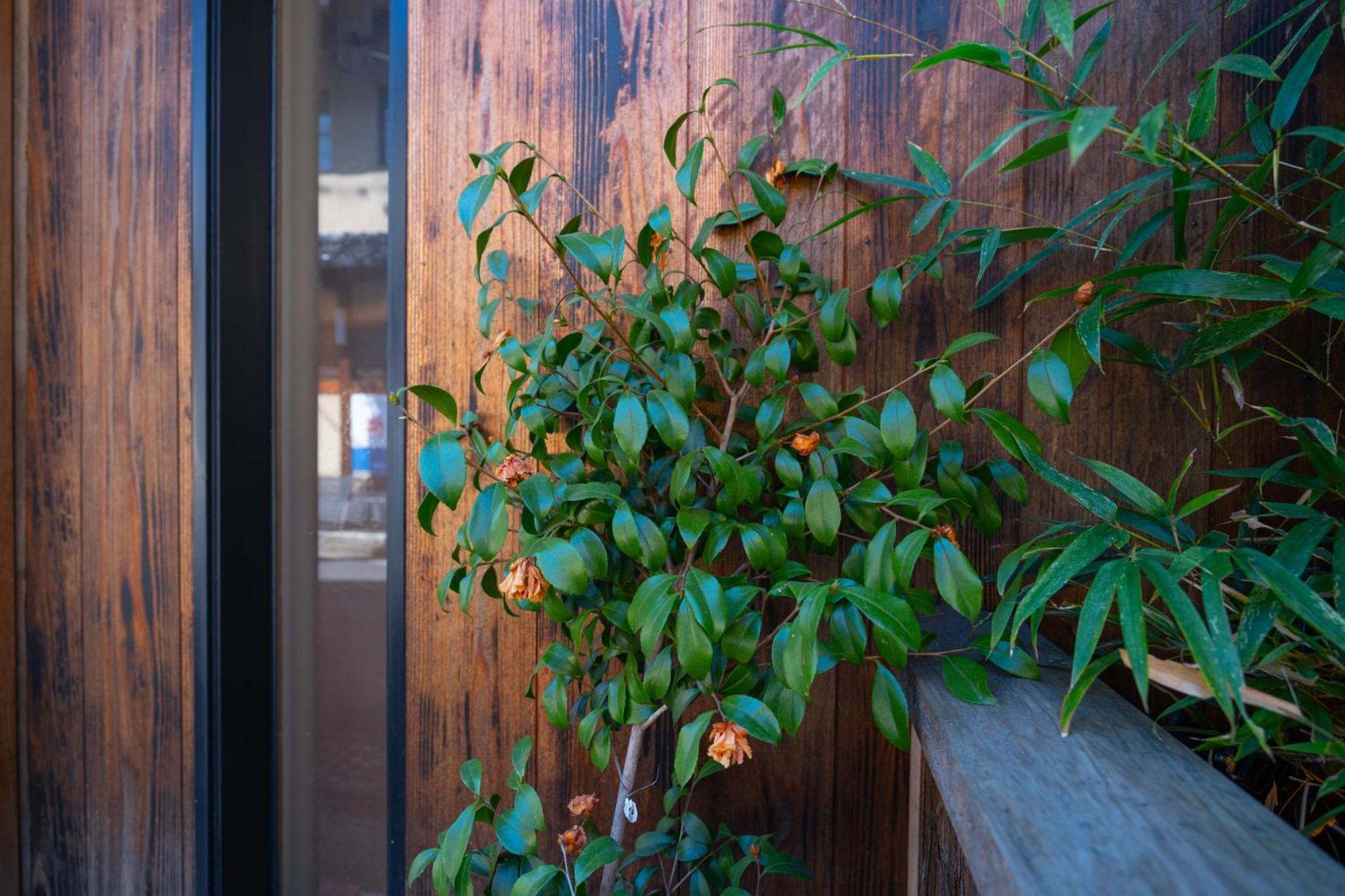 美築八坂 Lejlighed Kyoto Eksteriør billede